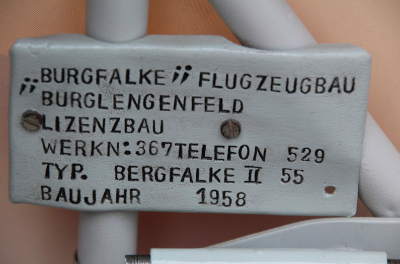 Bergfalke frisch „geschlüpft“